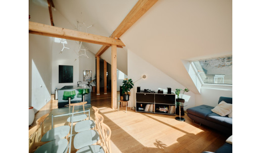 plush74 design rooftop loft with terrace 22 (1)