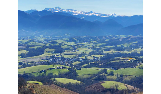 felpa74 dominio baretous 4