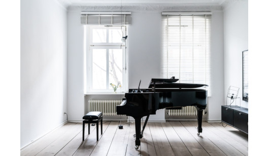 plush74 elegant bw apartment 16 (5)