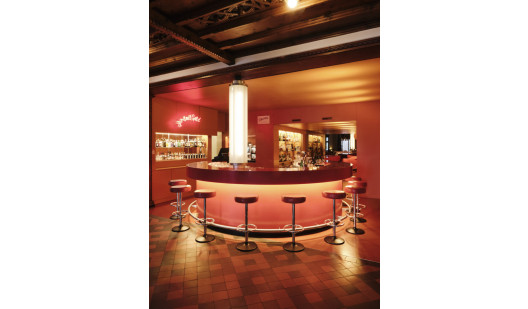 plush74 engadin art hote 25 (3)