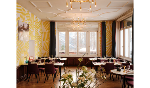 plush74 engadin art hote 55