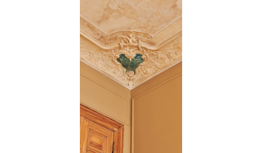 plush74 film photo event location carlfritz berlin germany classical16