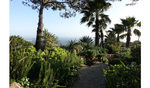 peluche74 film foto evento location portogallo lisbona zona ristorante giardino 4