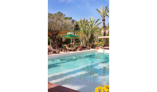 plush74 film photo shooting location scouting ibiza spain1