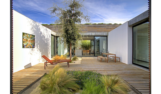 peluche74 ritiro di formosa 1(1)