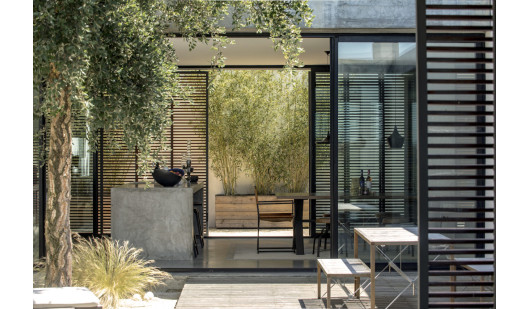 peluche74 ritiro di formosa 6(1)