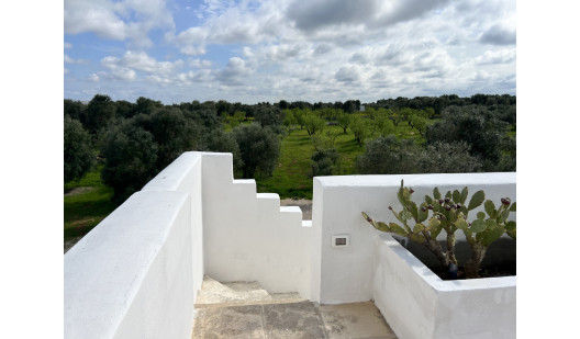 plush74 geometric villa puglia 2