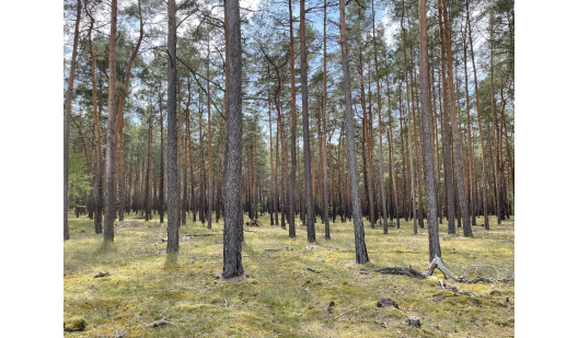 plush74 gravel pit berlin 30 (1)