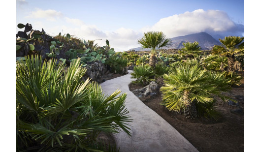 plush74 island villa dory 3