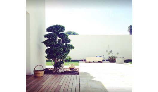 plush74 italy apulia location rent shoot film photo modern villa pool 3