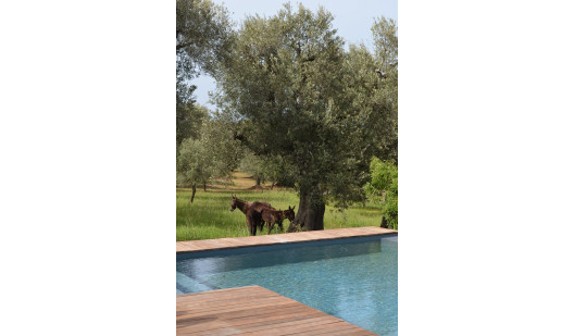 plush74 italy apulia location rent shoot film photo villa pool 16