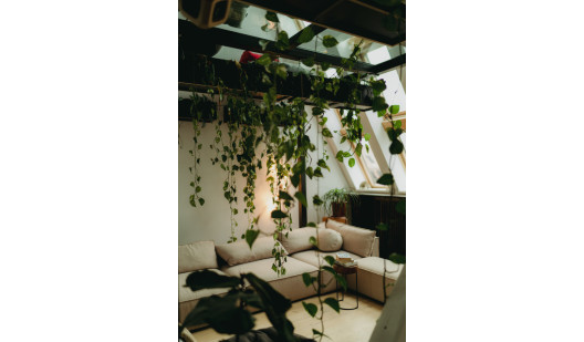 plush74 japanese wisdom hub 3