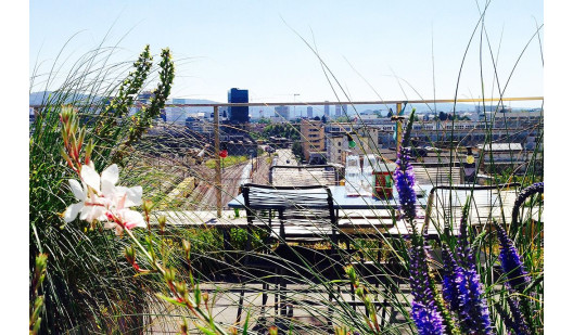 plush74 kantine hermetschloo 4