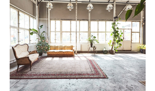 plush74 kaos berlin 3