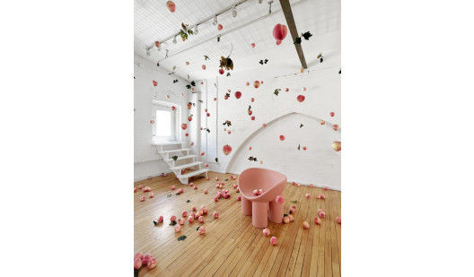 plush74 location film photo event private home unique canada toronto studio 1