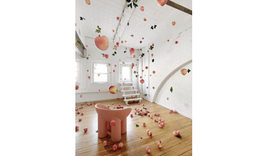 plush74 location film photo event private home unique canada toronto studio 2