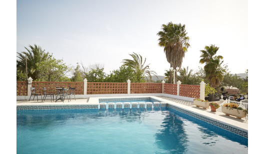 plush74 location ibiza house garden campo104