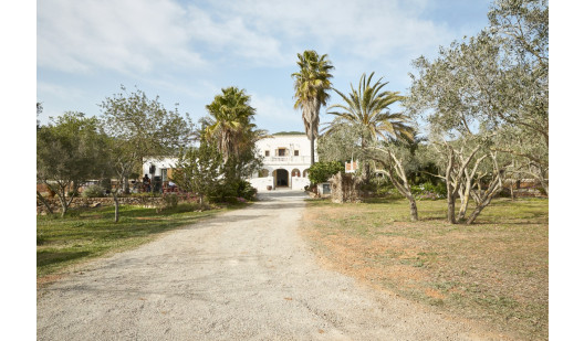 plush74 location ibiza house garden campo122