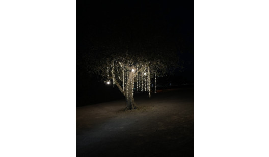 felpa74 ubicación ibiza restaurante jardín película foto evento119