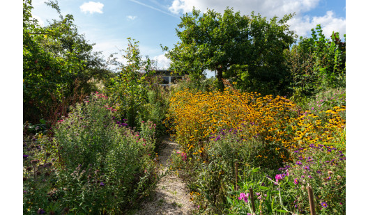 plush74 location photo film berlin event location berlin garden outdoor area23