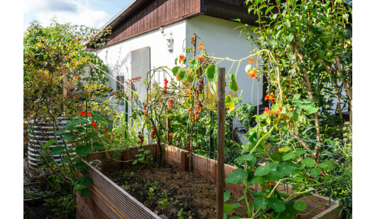 plush74 location photo film berlin event location berlin garden outdoor area4