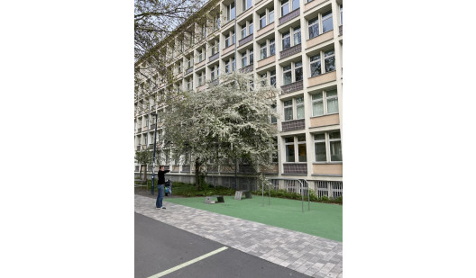 plush74 location photo film event berlin germany calisthenics 6