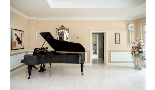 plush74 location photo film event villa spacious white luxurious deisign3