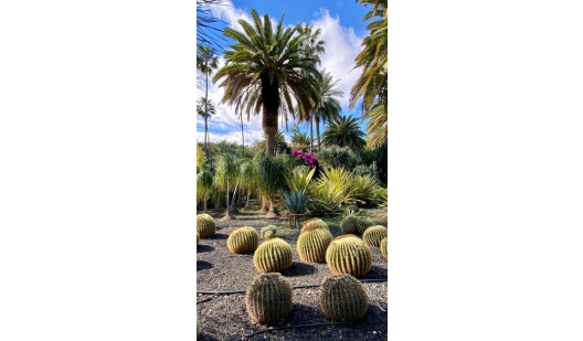 plush74 location photo film spain tenerife00000