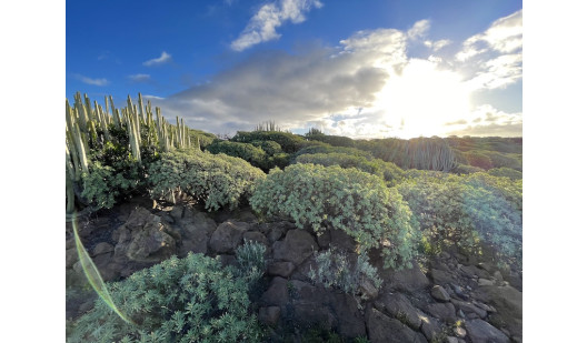 plush74 location photo film spain tenerife00019