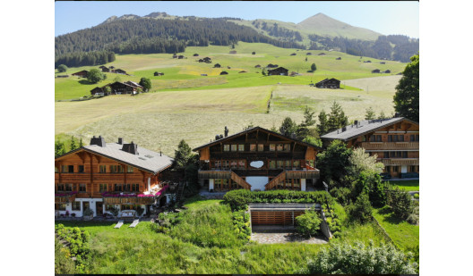 plush74 luxurious mountain chalet gstaad 1