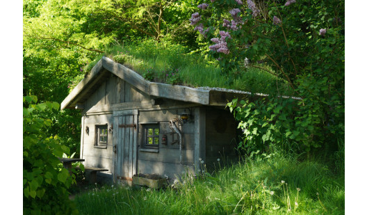 plush74 magical lakeside house 4