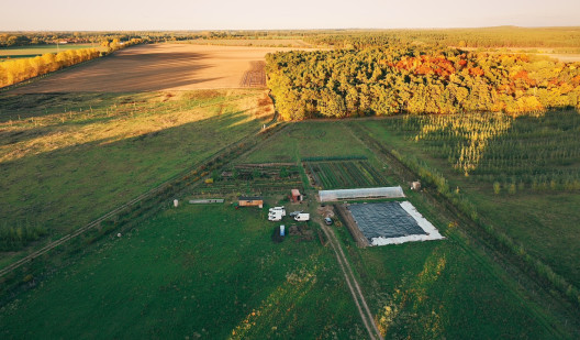 plush74 marsano feld 1(1)