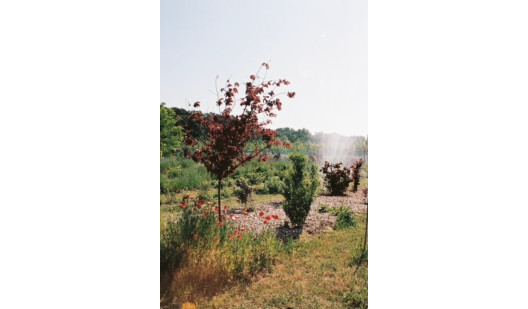 plush74 marsano feld 4