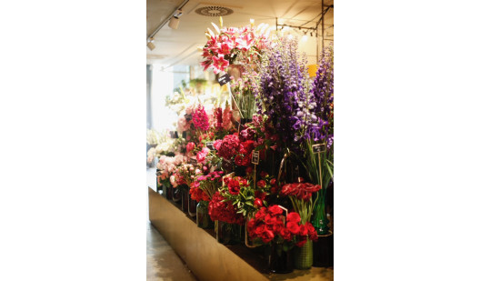 plush74 marsano laden 3