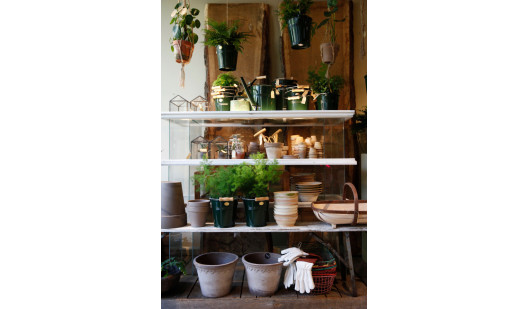 plush74 marsano laden 4