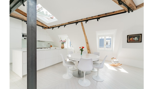 plush74 modern paris penthouse 3(1)