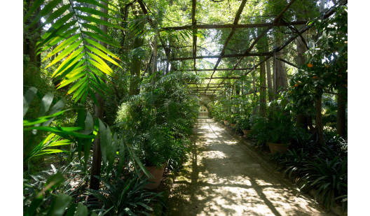 plush74 napoli villa garden 3