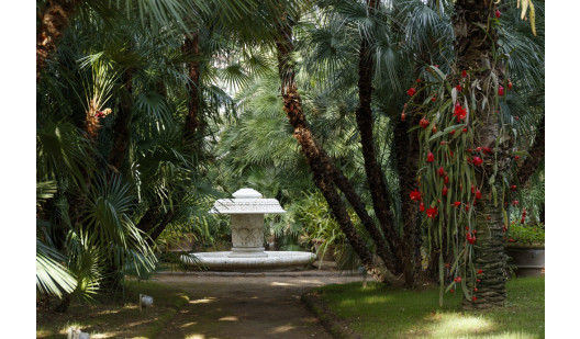 plush74 napoli villa garden 4