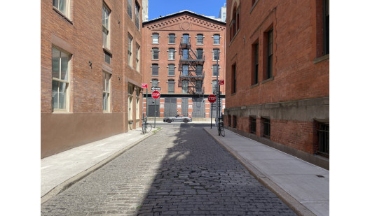 plush74 new york becky 1