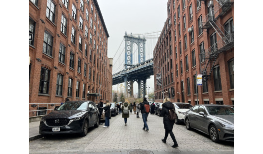 plush74 new york bridge 1