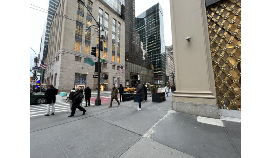 plush74 new york mid 4