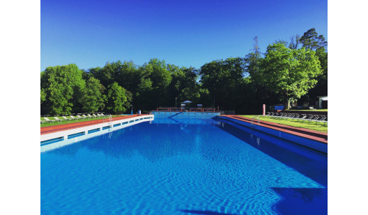 plush74 oasis outdoor pool zurich 1