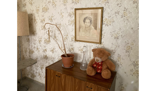 plush74 old pensioners apartment 25 (4)