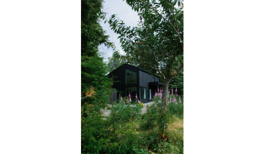 peluche74 película fotográfica lugar del evento tofino bosque oceánico isla de vancouver casa privada 7