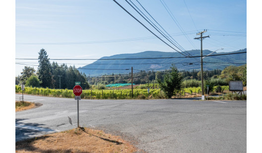 plush74 photo film location vancouver island canada rustic forest cafe store forest 1
