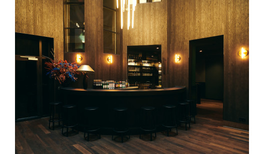 plush74 private bar berlin 4