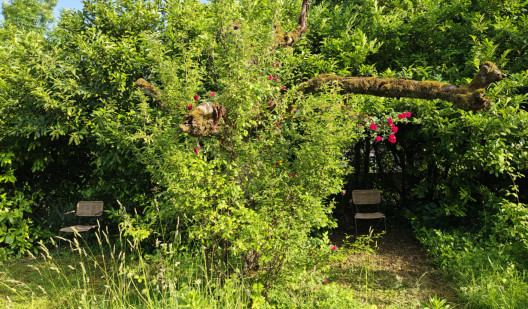 plush74 private garden in aargau 4