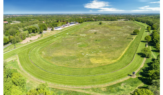 plush74 racecourse berlin 14