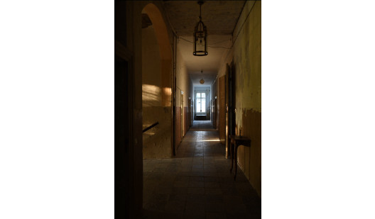 plush74 raw beautiful estate 4