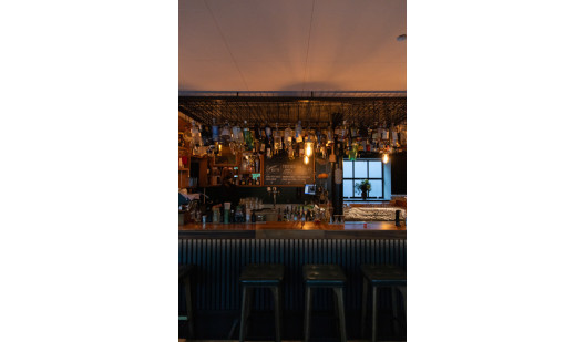 plush74 raygrodski bar 2(1)